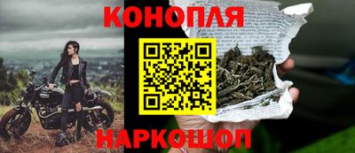 сатива Обнинск