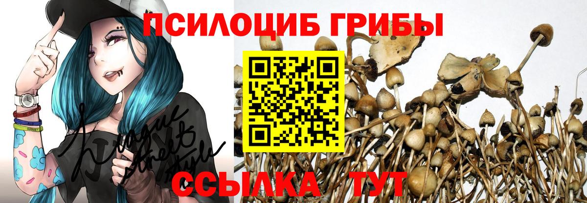Трёхгорный  Псилоцибиновые грибы прущие грибы  Галлюциногенные грибы Psilocybine cubensis  Вход с VPN 